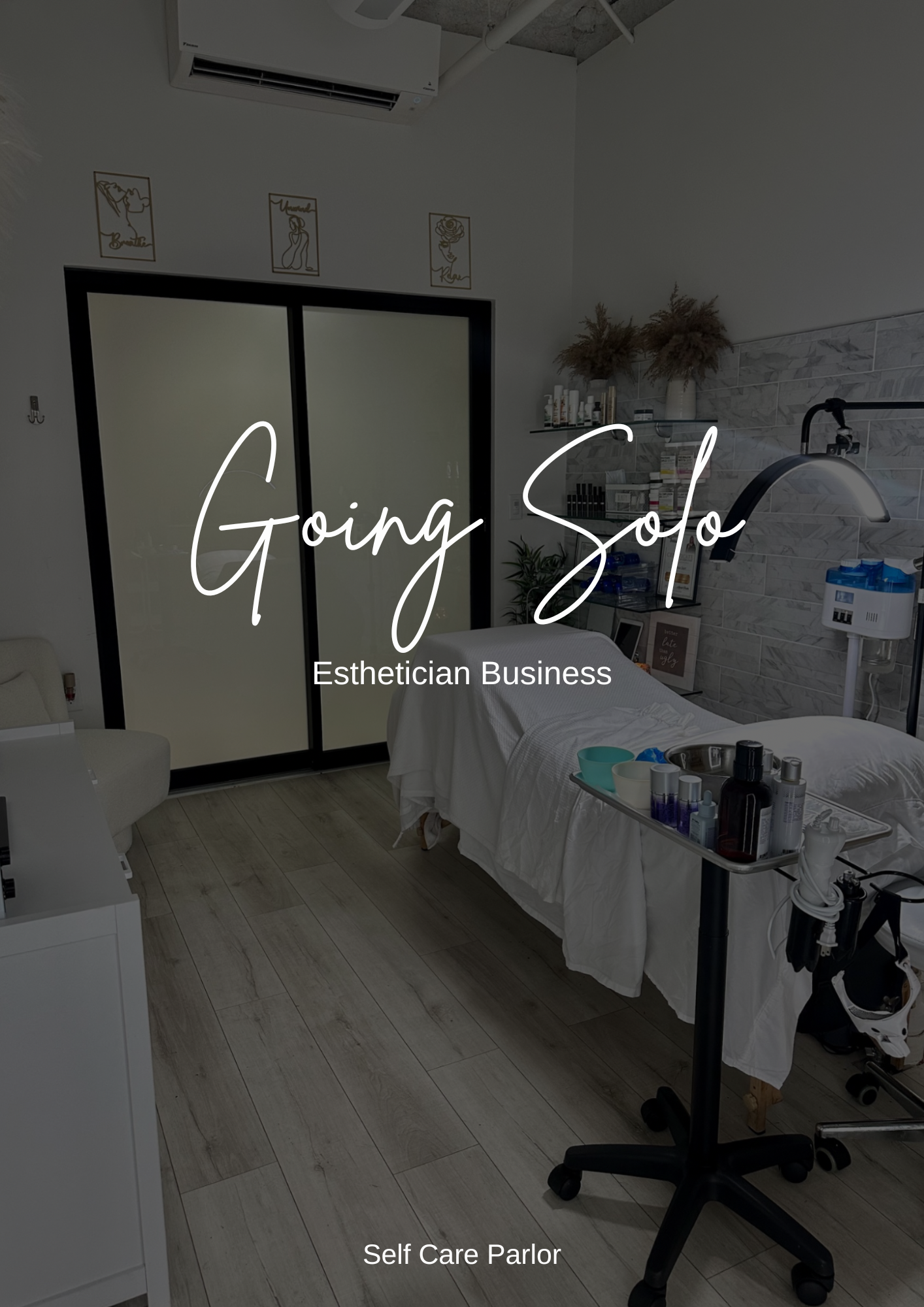 Going Solo Esthetician Business